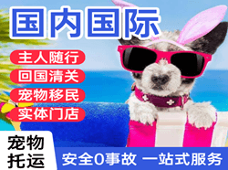 西宁曹家堡机场托运国际宠物托运 【国